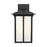 Tomek Large One Light Outdoor Wall Lantern | 8752701CG-12