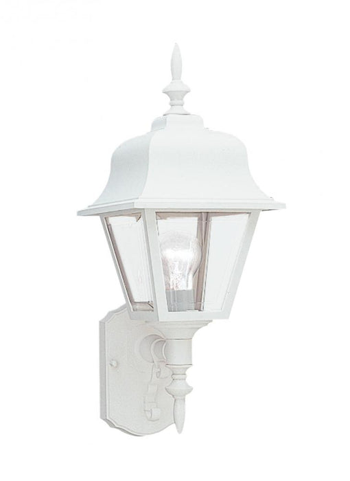 One Light Outdoor Wall Lantern | 8765-15