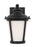 Generation Lighting Cape May traditional 1-light outdoor exterior small wall lantern sconce in black finish with etched