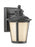 Generation Lighting Cape May traditional 1-light LED outdoor exterior small Dark Sky compliant wall lantern sconce in bu