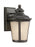 Generation Lighting Cape May traditional 1-light LED outdoor exterior small wall lantern sconce in burled iron grey fini