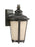 Generation Lighting Cape May traditional 1-light outdoor exterior medium wall lantern sconce in burled iron grey finish