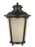 Generation Lighting Cape May traditional 1-light outdoor exterior extra large wall lantern sconce in burled iron grey fi