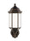 Sevier Medium One Light Uplight Outdoor Wall Lantern | 8838751-71