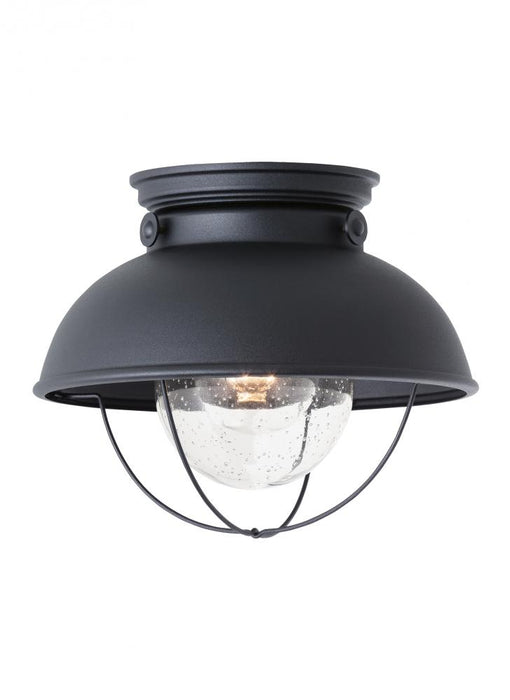 Sebring One Light Outdoor Ceiling Flush Mount | 8869-12