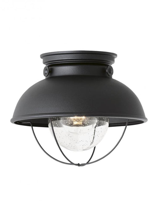 Generation Lighting Sebring transitional 1-light LED outdoor exterior ceiling flush mount in black finish with clear see