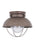 Sebring One Light Outdoor Ceiling Flush Mount | 8869EN3-44