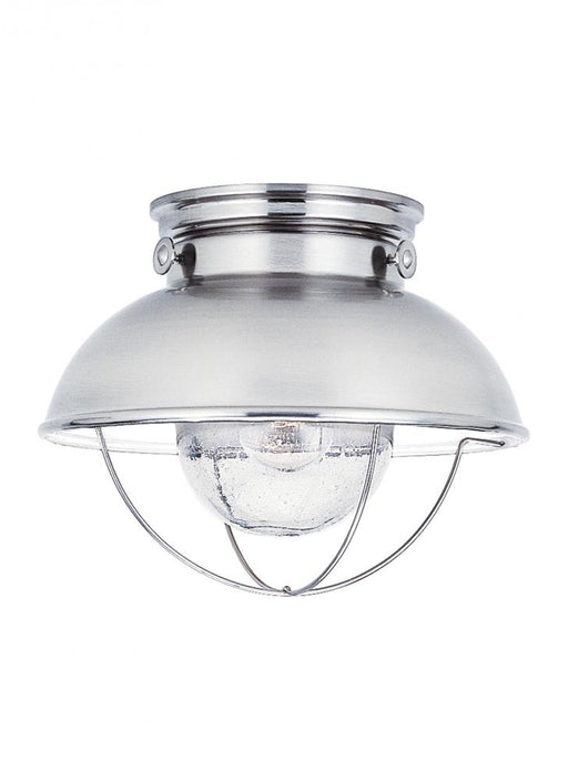 Sebring One Light Outdoor Ceiling Flush Mount | 8869EN3-98