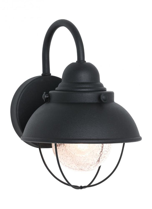 Sebring Small One Light Outdoor Wall Lantern | 8870-12