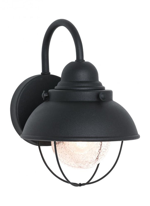 Sebring Small One Light Outdoor Wall Lantern | 8870-12