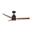Falcon-indoor Ceiling Fan | 88708BKWN
