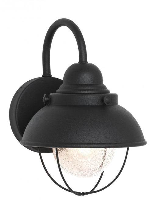 Sebring Small One Light Outdoor Wall Lantern | 8870EN3-12