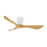 Keanu-outdoor Ceiling Fan | 88753MWTK