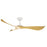 Keanu-outdoor Ceiling Fan | 88754MWTK