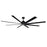 Condor-indoor Ceiling Fan | 88768BK