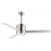 Tanker-indoor Ceiling Fan | 88806SN