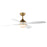 Bola-indoor Ceiling Fan | 88811NAB
