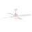 Bola-indoor Ceiling Fan | 88811WT