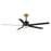 Daisy-indoor Ceiling Fan | 88826BKGLD
