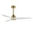Woodwind-indoor Ceiling Fan | 88831NAB