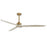 Woodwind-indoor Ceiling Fan | 88833WTNABWWT