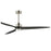 Woodwind-indoor Ceiling Fan | 88834SN