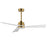Vortex-indoor Ceiling Fan | 88837WTNAB