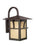 Generation Lighting Medford Lakes transitional 1-light LED outdoor exterior large wall lantern sconce in statuary bronze