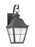 Generation Lighting Chatham traditional 1-light LED medium outdoor exterior wall lantern sconce in oxidized bronze finis