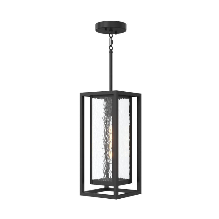 Shaw 17 Inch 1 Light Outdoor Pendant With Clear Glass | P550148-031