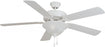 Basic-max-indoor Ceiling Fan | 89905MW