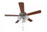Basic-max-indoor Ceiling Fan | 89905SNWP