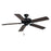 Basic-max-outdoor Ceiling Fan | 89915OI