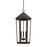 3 Light Outdoor Hanging Lantern | 926933OZ
