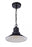 Craftmade Singleton 1 Light 11" Outdoor Pendant in Midnight