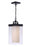 Craftmade Hayner 1 Light Outdoor Pendant in Midnight