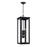 4-light Outdoor Rectangular Hanging Lantern In Black With Clear Glass | 934644BK
