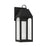 1 Light Outdoor Wall Lantern | 946311BK-GL