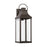 1 Light Outdoor Wall Lantern | 946431OZ-GL