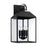 Capital 4-Light Outdoor Square Rectangle Wall Lantern in Black with Clear Glass