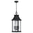 Capital 4-Light Outdoor Cylindrical Hanging Lantern in Black with Seeded Glass