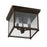 3 Light Outdoor Flush Mount | 9546OB