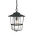 1 Light Outdoor Hanging Lantern | 9604BK