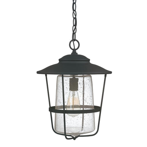 1 Light Outdoor Hanging Lantern | 9604BK