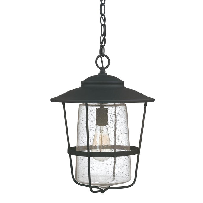 1 Light Outdoor Hanging Lantern | 9604BK