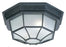 2 Light Outdoor Flush Mount | 9800BK