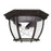 3 Light Outdoor Flush Mount | 9802OB