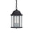 3 Light Outdoor Hanging Lantern | 9836BK