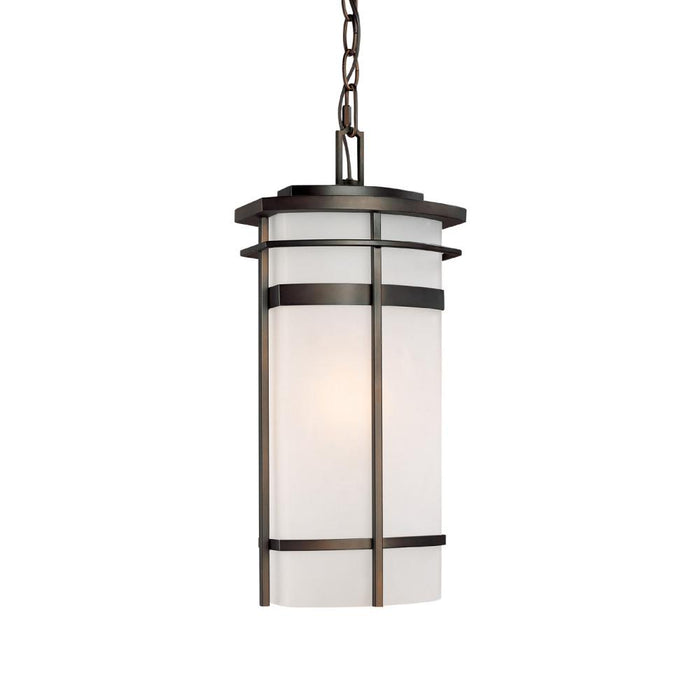 1 Light Outdoor Hanging Lantern | 9885OB