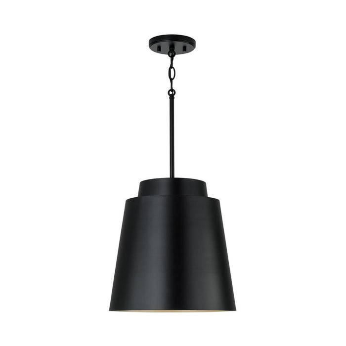 1 Light Pendant | AA1034MB